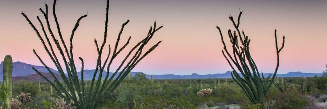 Clément Brault banner