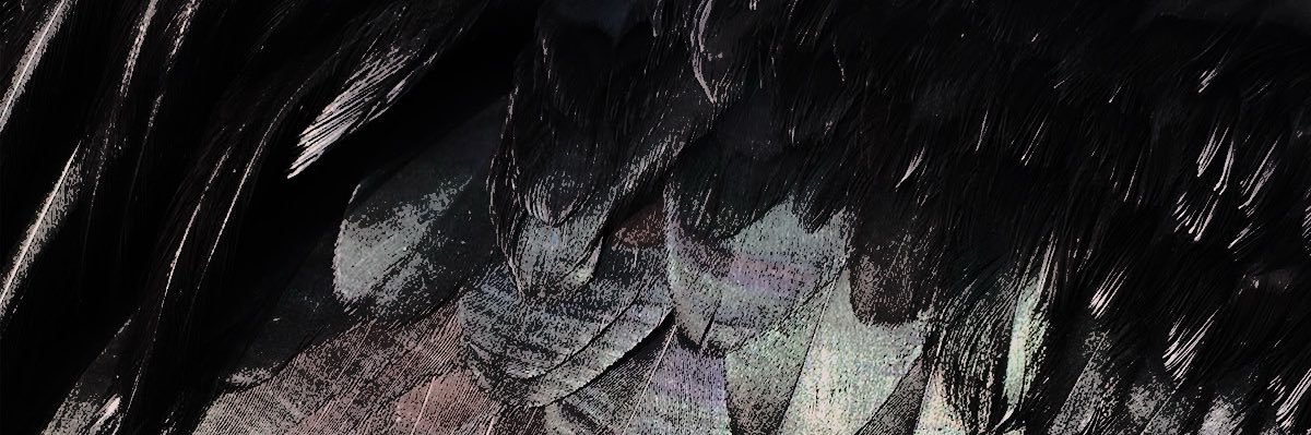 𝓣𝐇𝐄 𝕽𝙰𝚅𝙴𝙽. banner