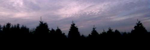 whxsnash's profile banner image