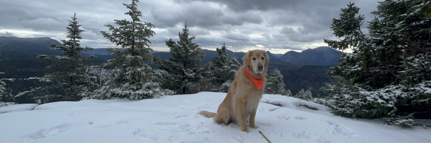 maddiebrooksie's profile banner image