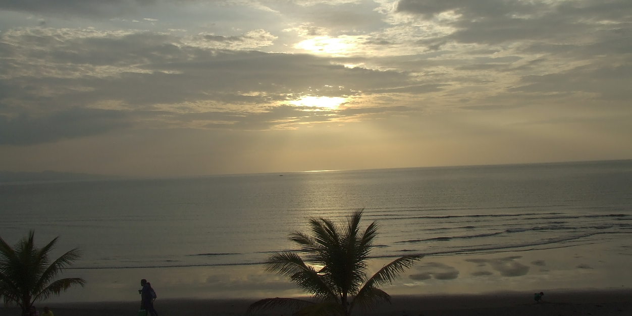 Mark Thomson 💉💉💉💉💉💉🇦🇺 banner