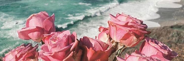 samviggiano's profile banner image