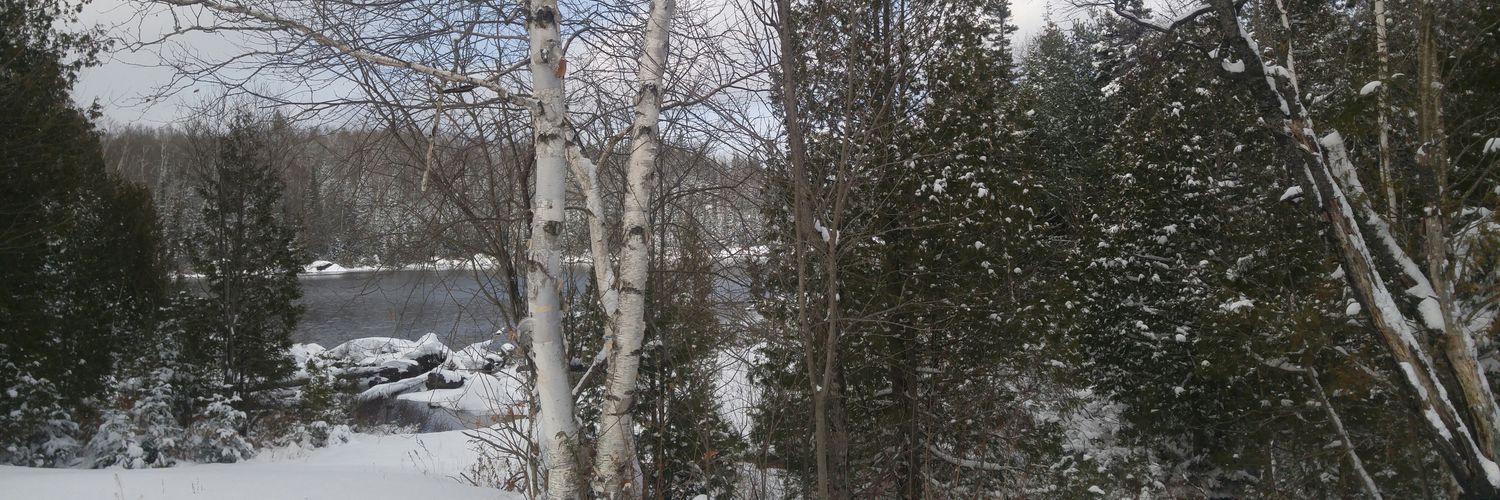Zabellant's profile banner image