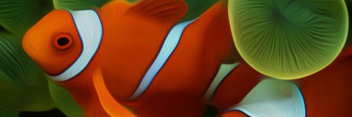 sofianesebbouh's profile banner image