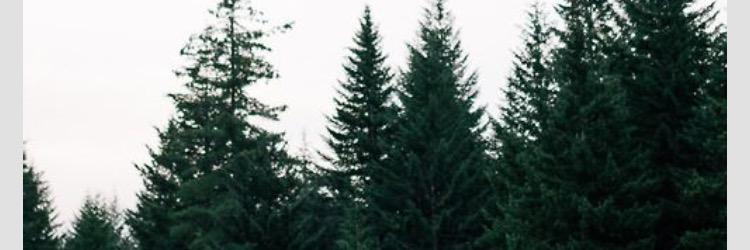 kellbell567's profile banner image
