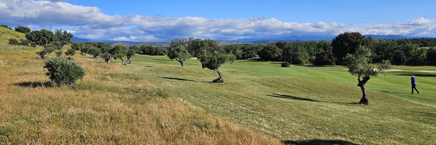 manugolfing's profile banner image