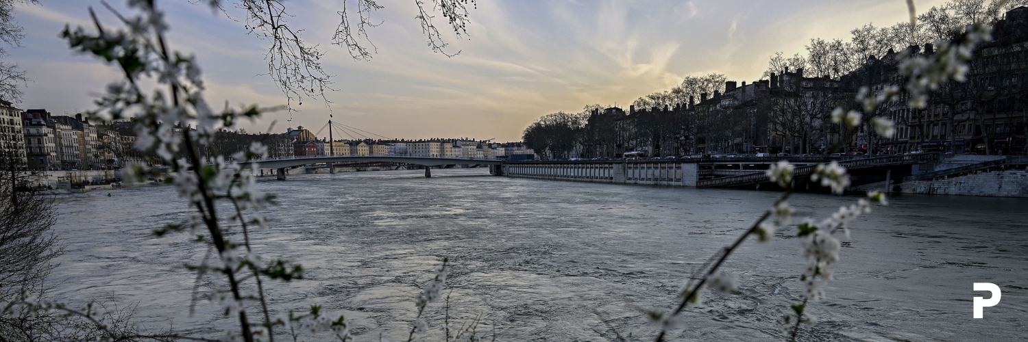 Le Progrès Lyon banner