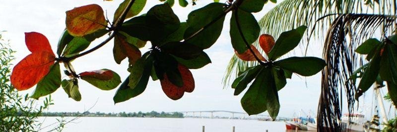 Tropsur's profile banner image