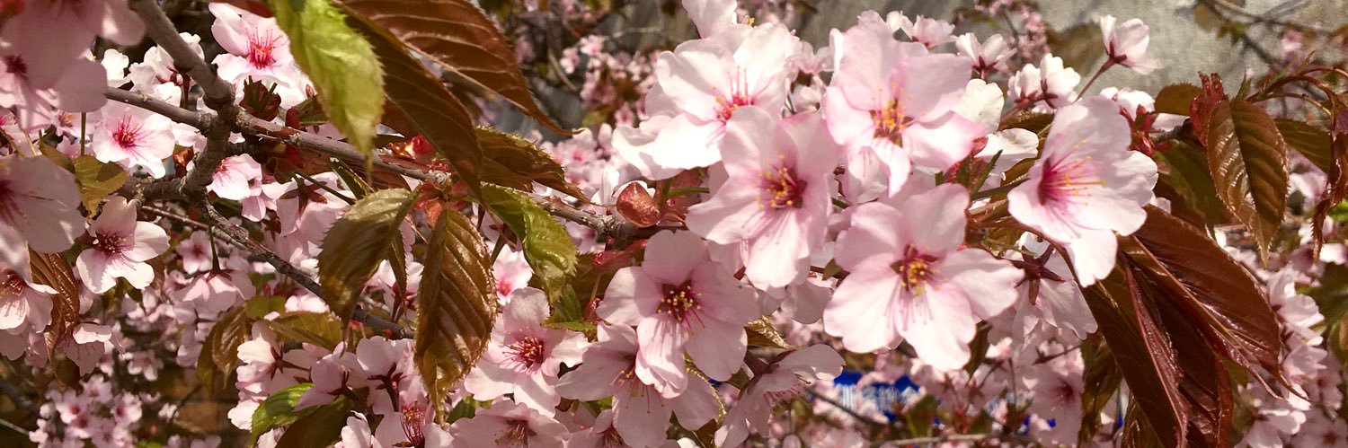 Ruuui110428's profile banner image