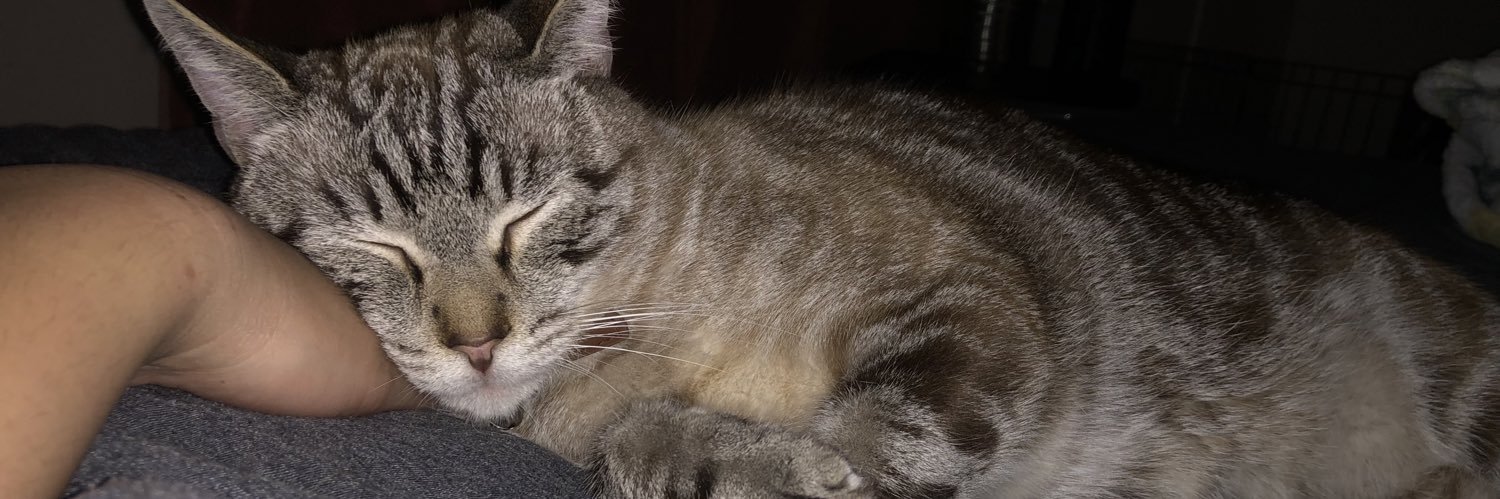 dutchessKy's profile banner image