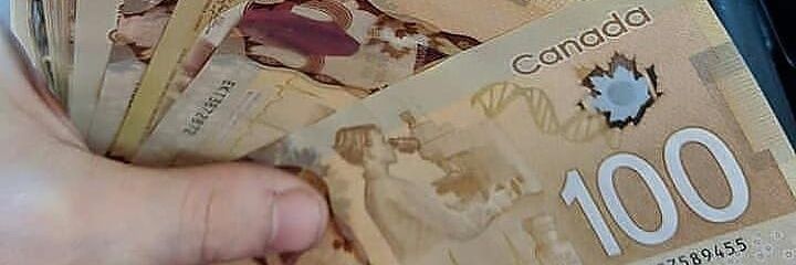 peeza_pizzaro's profile banner image