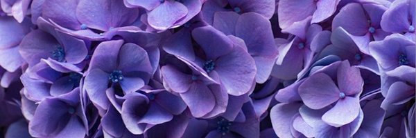 abrown0712 Profile Banner