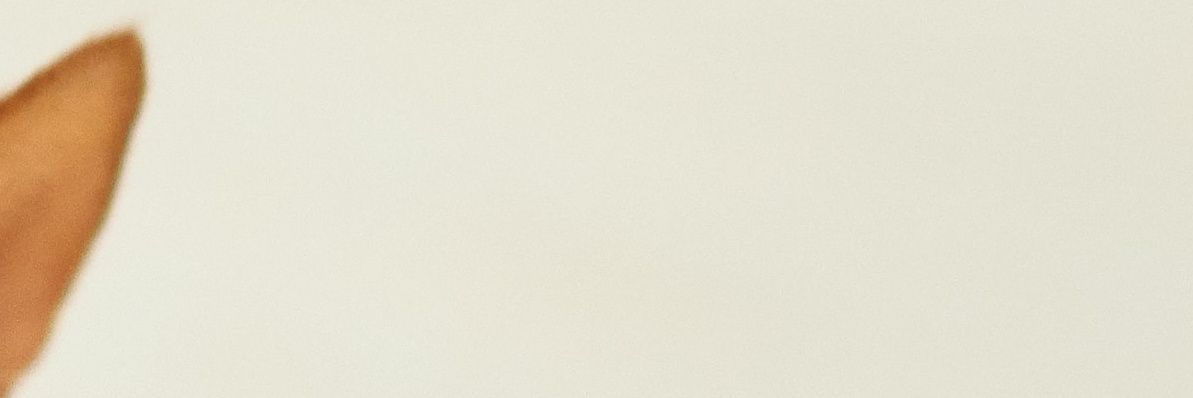 Try_againnnnn's profile banner image