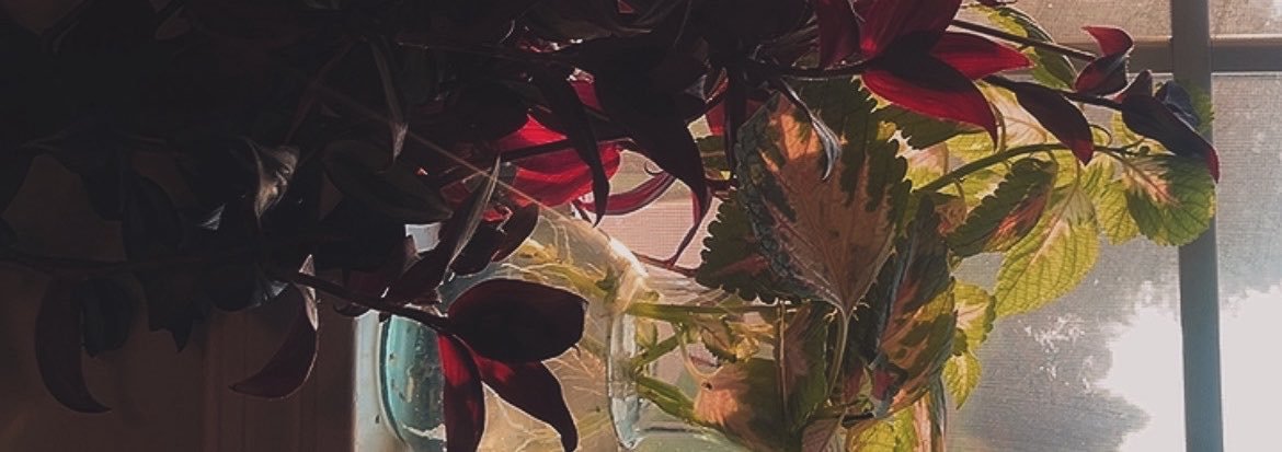 Nectear's profile banner image