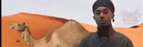 alrnodrw's profile banner image