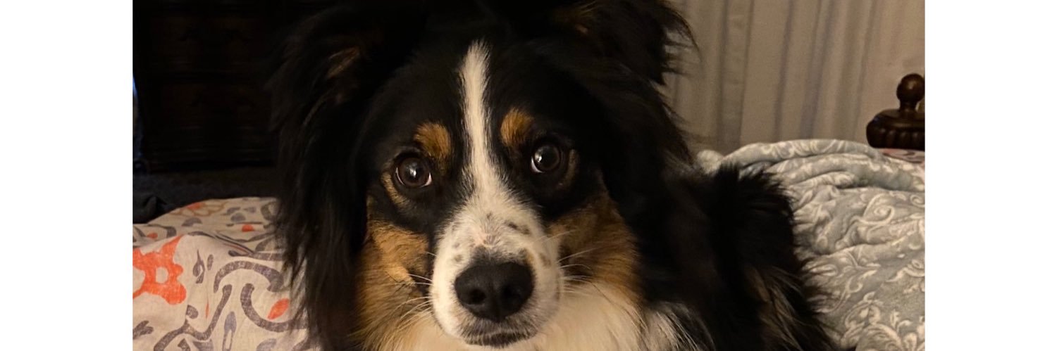 megbreeden's profile banner image