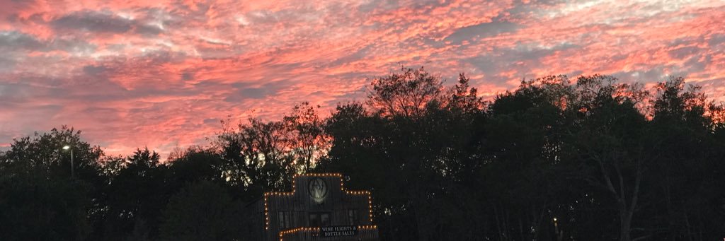 lpfox's profile banner image