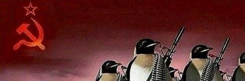 OficialChury's profile banner image