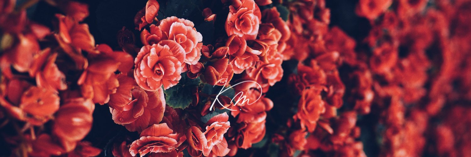 KiahKitKat's profile banner image
