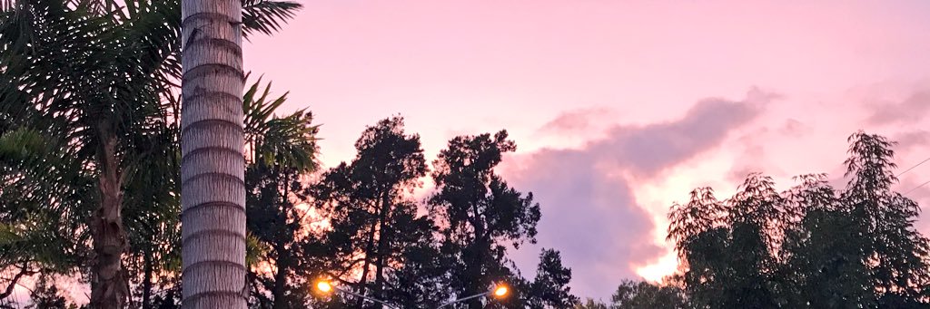 DayanneVides's profile banner image
