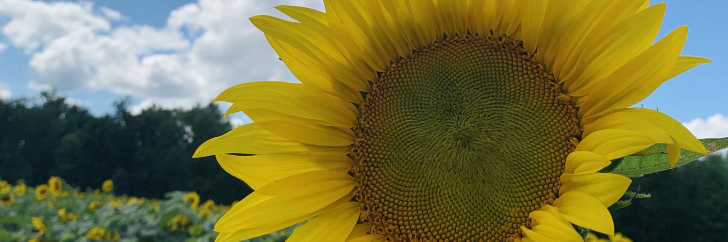 triciaroseee's profile banner image