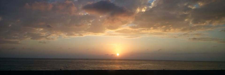 as8248343's profile banner image