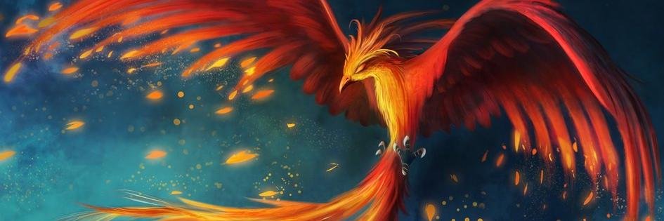 ZmtAnka's profile banner image