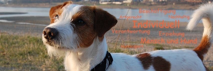 woofcoach's profile banner image