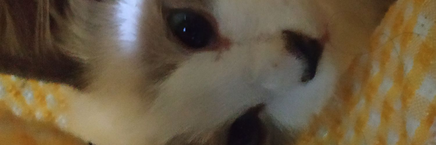ucinghideunggg's profile banner image