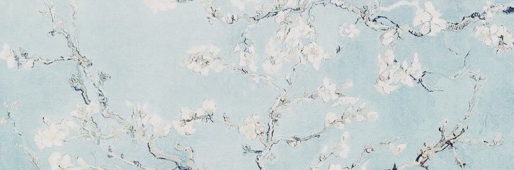 buterageuse's profile banner image