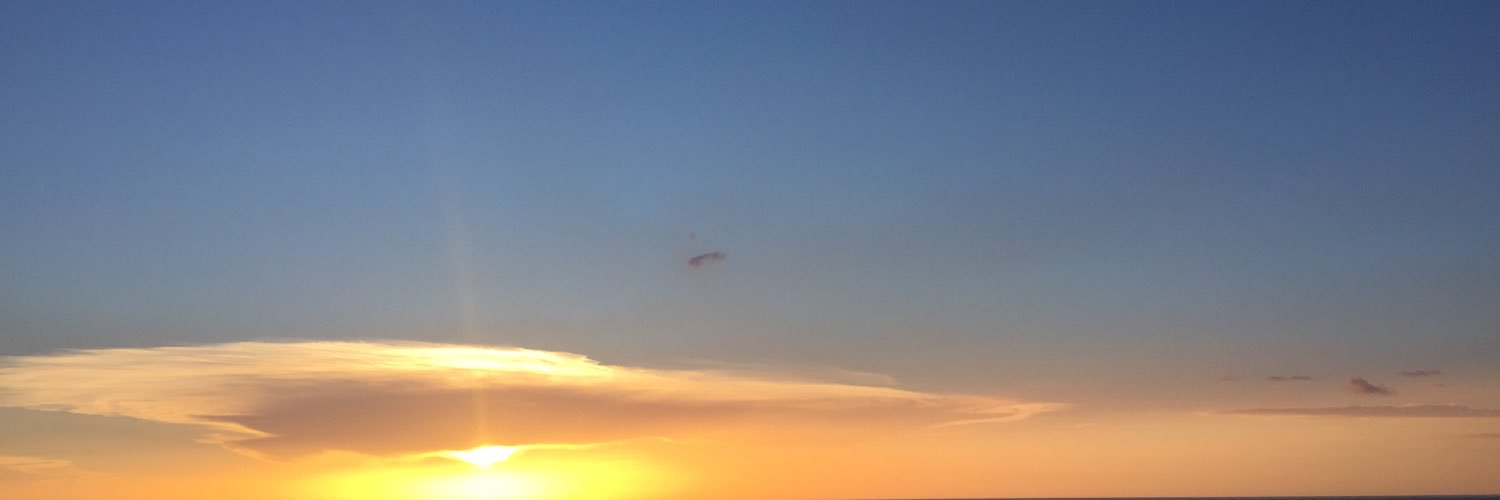lyndactm's profile banner image