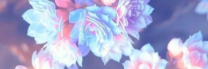 SheelaghMariee's profile banner image