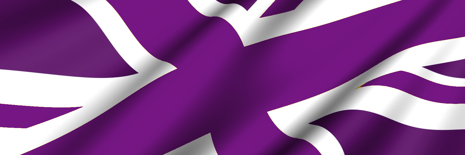 UKIPRochester's profile banner image