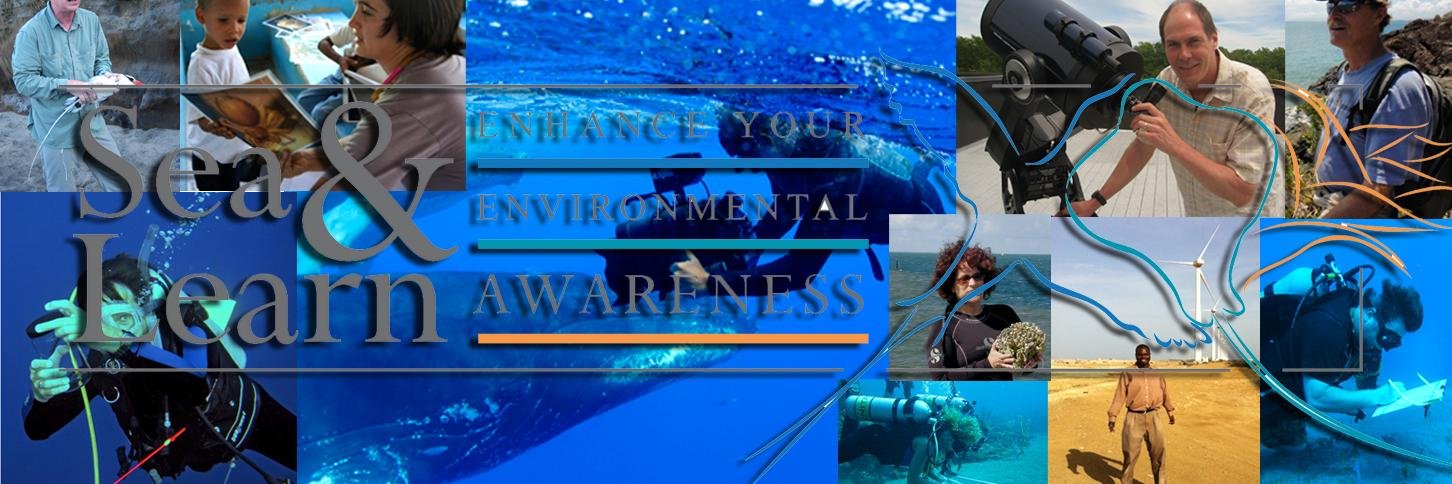 Sea & Learn on Saba banner