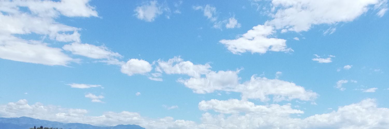 estasofiaf's profile banner image