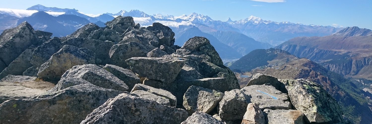 Reftany's profile banner image