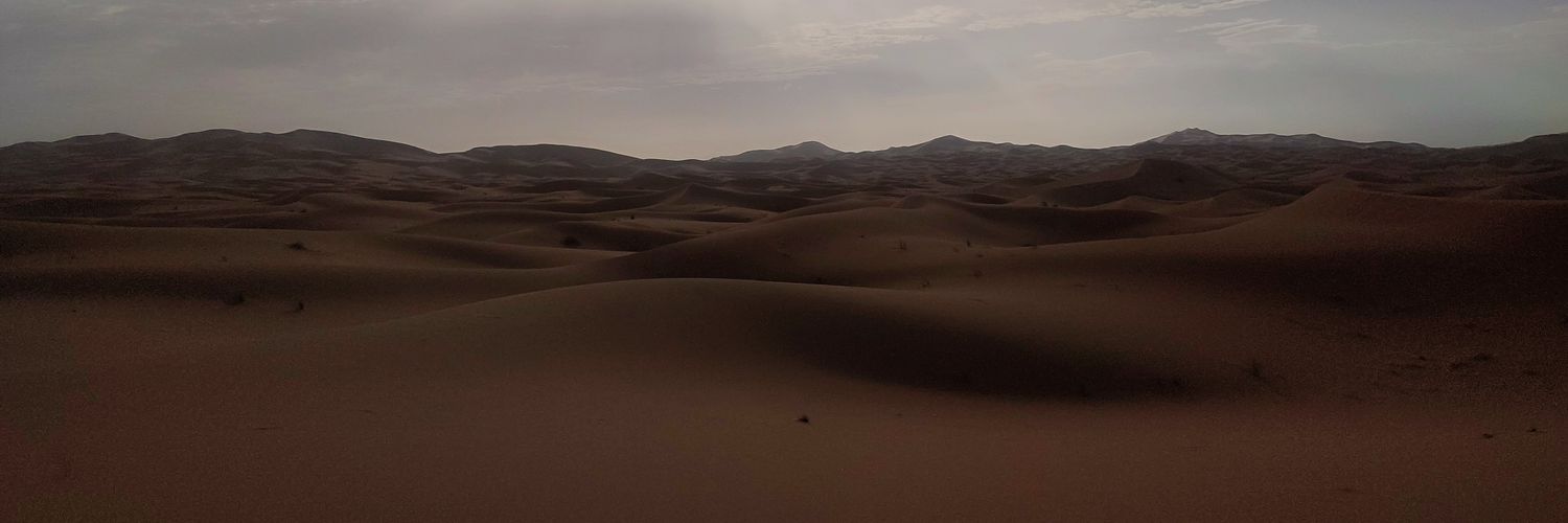 Héctor Amelló Montiu banner