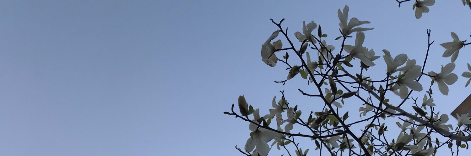 333_miyuu's profile banner image