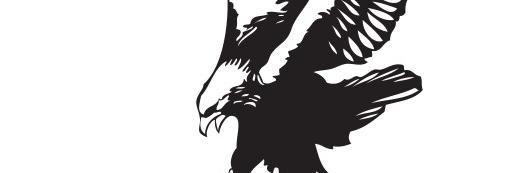 Linton Aztecs FC banner