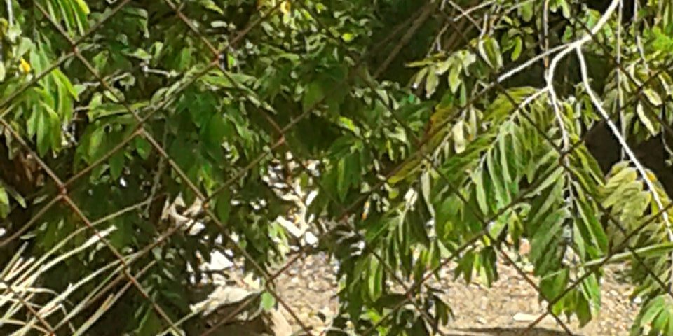 sugarbee_73's profile banner image
