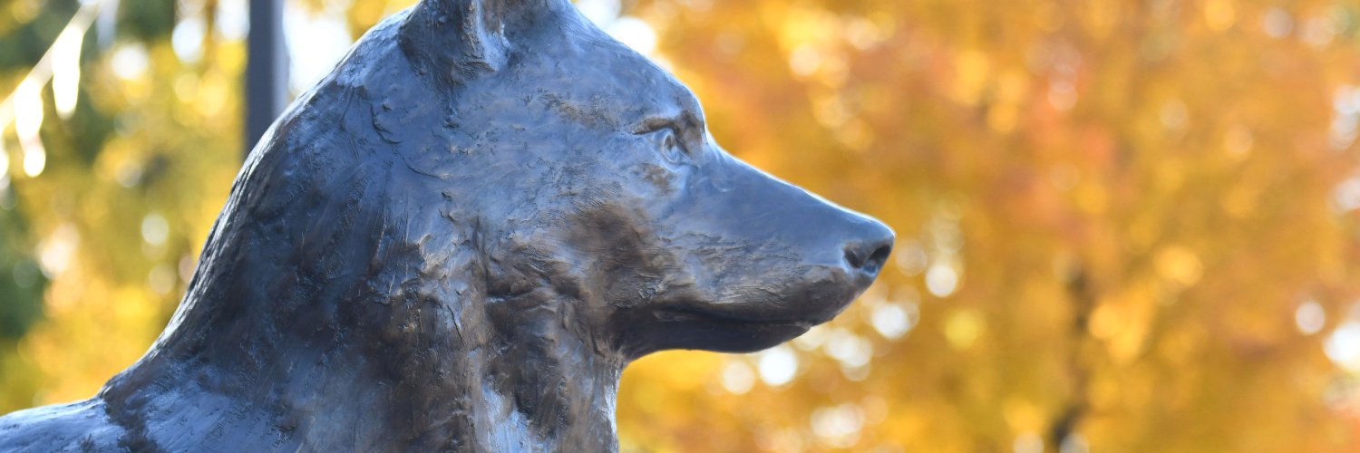 St. Cloud State banner