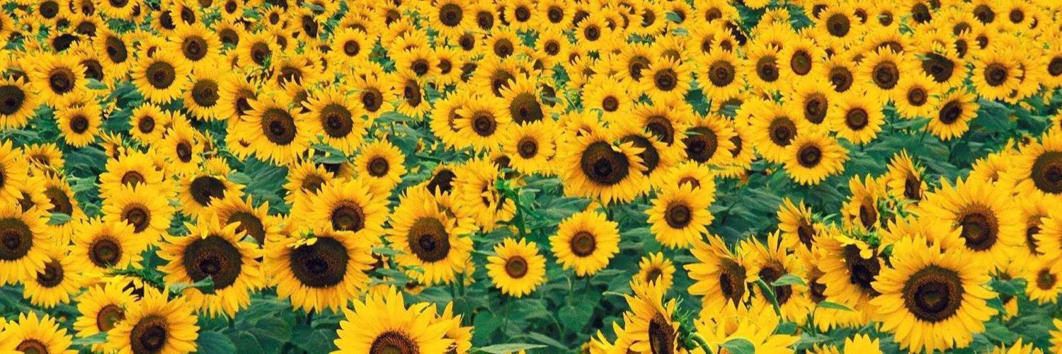 jenjadore's profile banner image