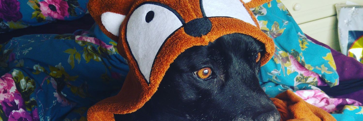 DudleyJon's profile banner image