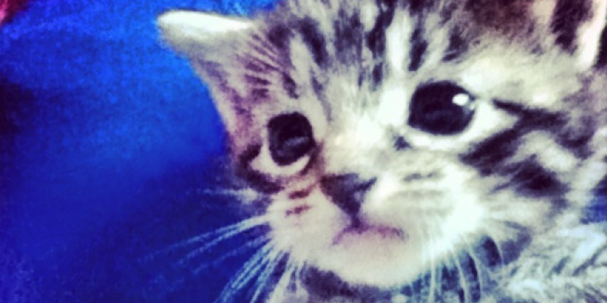 googlyface1's profile banner image