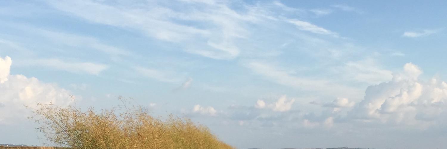 MertcanUyanik's profile banner image