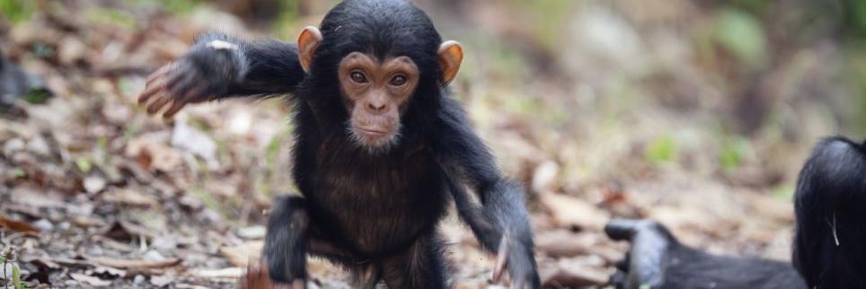 Maialen Berasategi banner