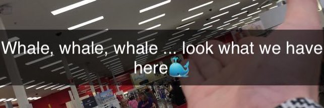 Joey Monteleone banner