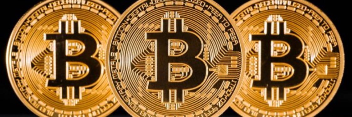 bitking banner