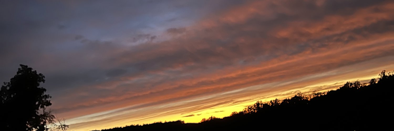 Strizzle_'s profile banner image