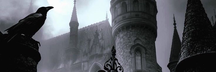 MichelleFury's profile banner image
